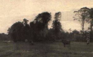 Cows In A Pasture Cows In A Pasture