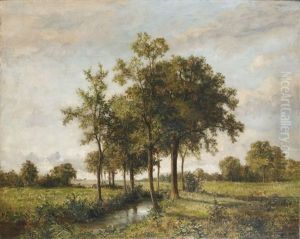 Paysage Bord De Ruisseau Paysage Bord De Ruisseau