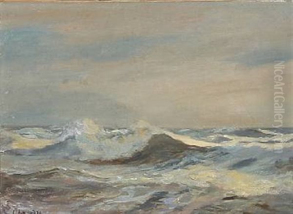 Vesterhavsbolge - view 1