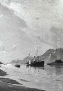 Norsk Fjordparti Med Dansk Dampskib Norsk Fjordparti Med Dansk Dampskib