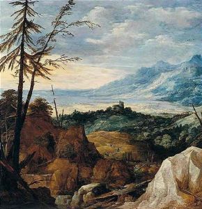 An Exstensive Landscape With Pinetrees
