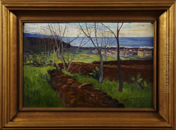 Motiv Franteneriffa - view 1