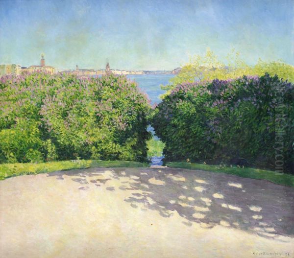 Utsikt Fran Ralambshov - view 1