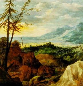 Extensive Landscape With Pine Trees