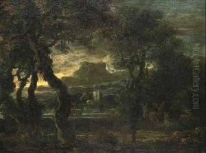 Cerfs Dans Une Foret Au Bord D'un Lac