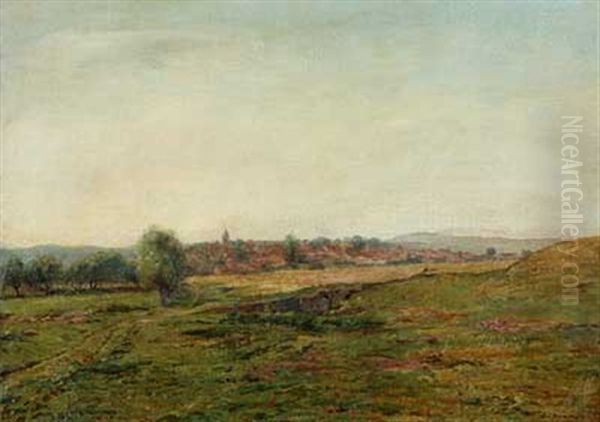 Kleine Stadt In Weitlaufiger Sommerlandschaft - view 1