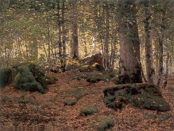 Luminous Forest At Fontainebleau - view 1