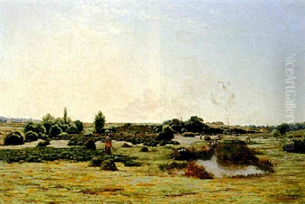 Haymaking - view 1