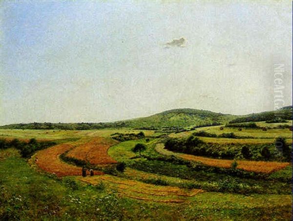 Harvesting The Wheat - view 1
