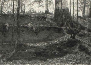 Sous-bois, Les Feuilles Mortes