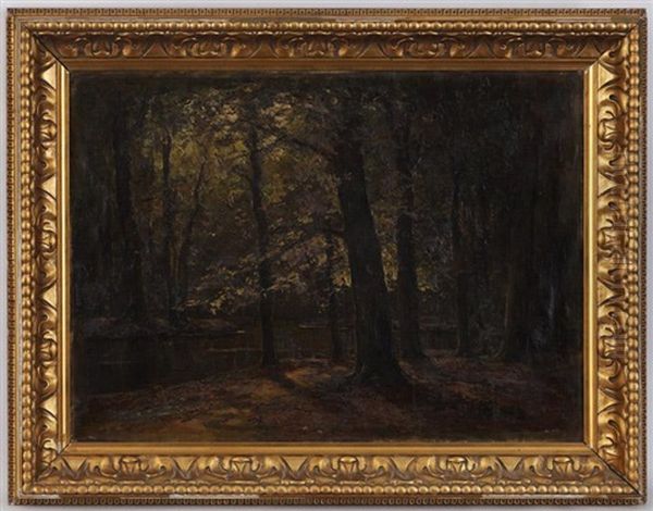 Sous-bois - view 1