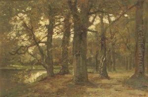 Vijver In T Haags Bosch: A Pond In A Forest Vijver In T Haags Bosch: A Pond In A Forest