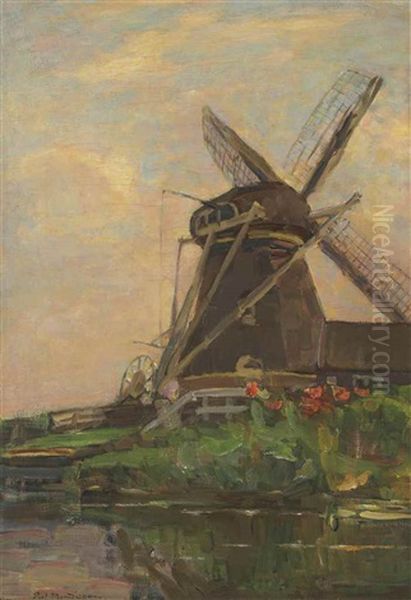Oostzijdse Mill - view 1