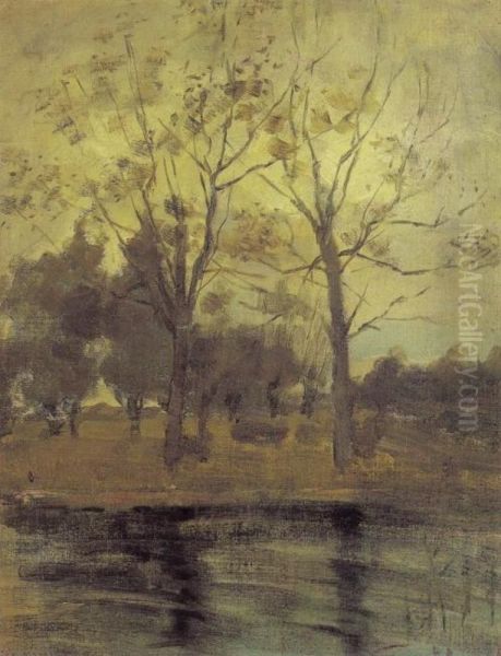 Two Trees Silhouetted Behind A Water Course - view 1