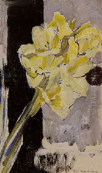 Gladiola - view 1