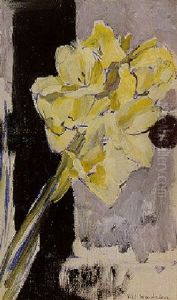 Gladiola