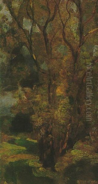 A Forest In Oele - view 1