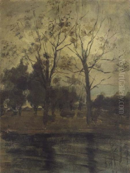 Impression: Tree, Waterland And Sky - view 1