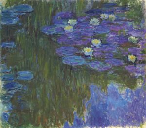 Nympheas En Fleur