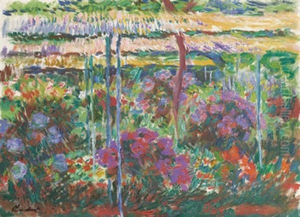 Pivoines - view 1