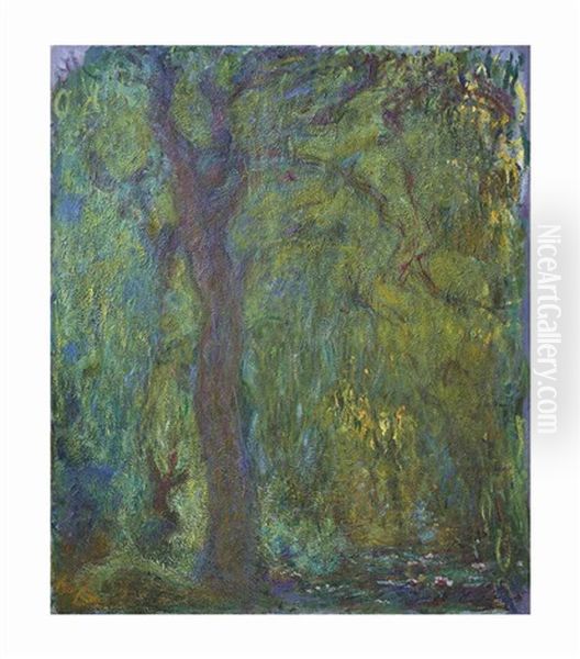 Saule Pleureur - view 1