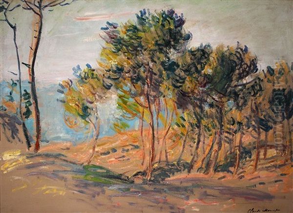 Les Sapins A Varengeville - view 1