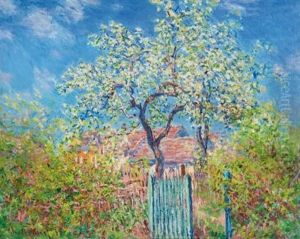 Poirier En Fleurs