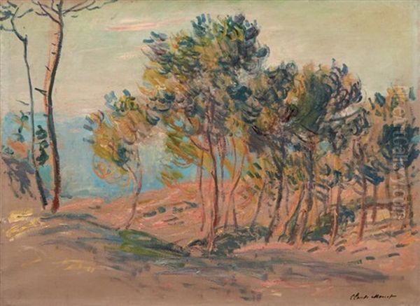 Sapins A Varengeville - view 1