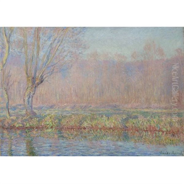 Le Saule - view 1