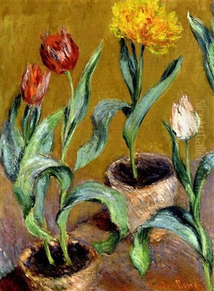 Pots De Tulipes - view 1