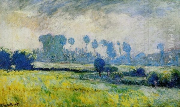 Prairie A Giverny, Effet Du Matin - view 1