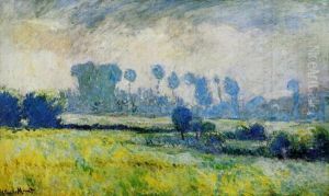 Prairie A Giverny, Effet Du Matin