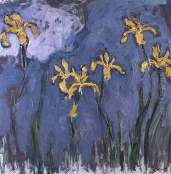 Iris Jaunes Au Nuage Rose - view 1