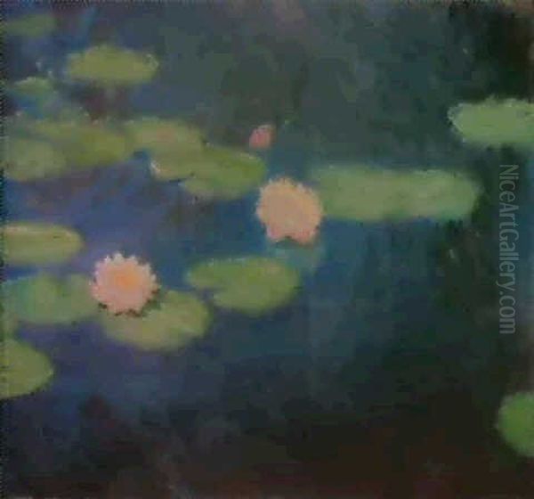 Nympheas - view 1