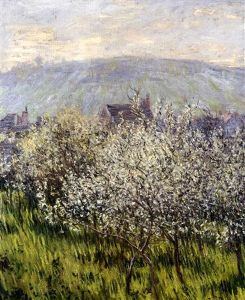 Pruniers En Fleurs