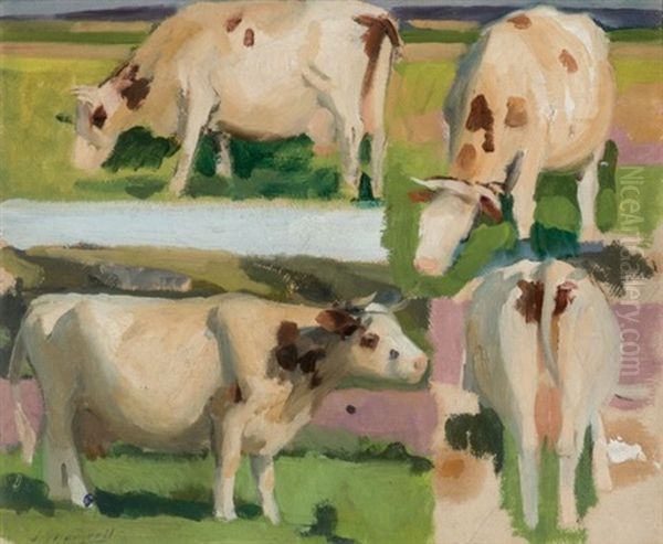 Estudio De Vacas - view 1