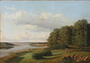 Danish Summer Landscape With A View Towards A Fiord