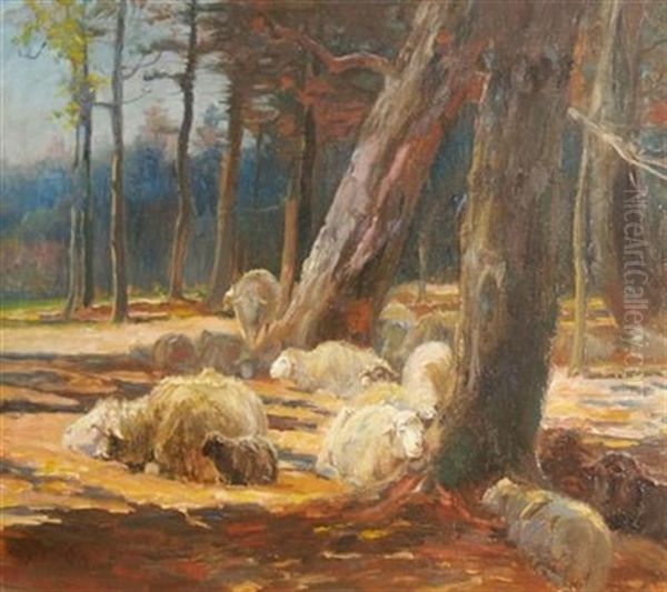 Sheep At Rest At The Edge Of A Wood - view 1