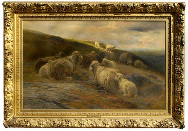 Sheep On Hillside - view 1