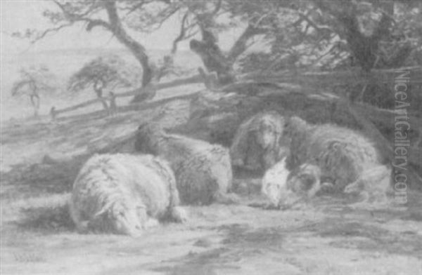 Farm Animals By The Shore - view 1