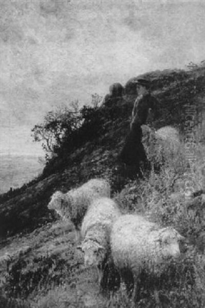 Shepherdess And Sheep In A Coastal Pasture - view 1