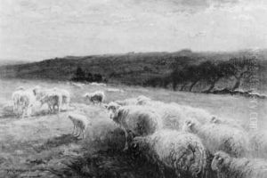 Sheep Grazing In A Landscape
