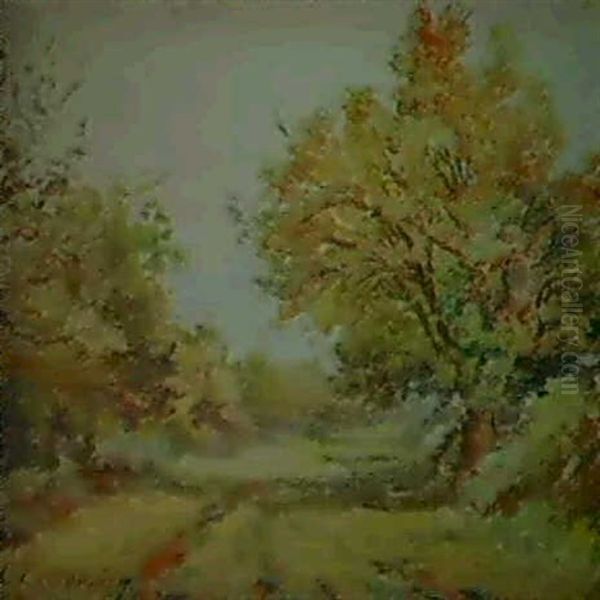 Chemin En Puysaye A L'automne - view 1