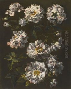 A Study Of Striped White Gallica Roses by Jean-Baptiste Monnoyer