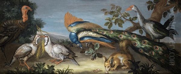 A Peacock, A Turkey, A Purple Gallinule, Partridges And A Squirrel In A Landscape - view 1