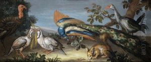 A Peacock, A Turkey, A Purple Gallinule, Partridges And A Squirrel In A Landscape