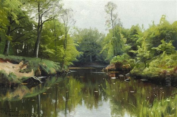 A Summer Day At Saeby Stream - view 1