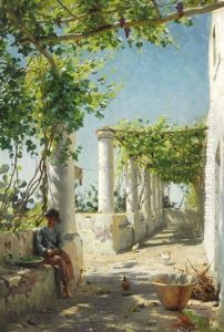 A Pergola From Anacapri A Pergola From Anacapri
