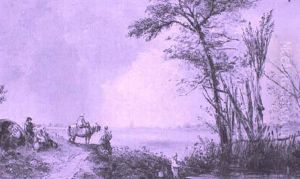 A Heath In Surrey by Alfred Montague