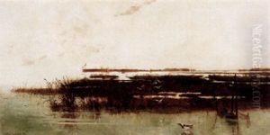 Strandlandskap Med Sjofagel by Hilda Montalba
